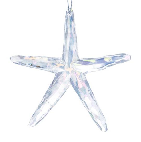 Acrylic Sea World Starfish 9cm *ETA Nov